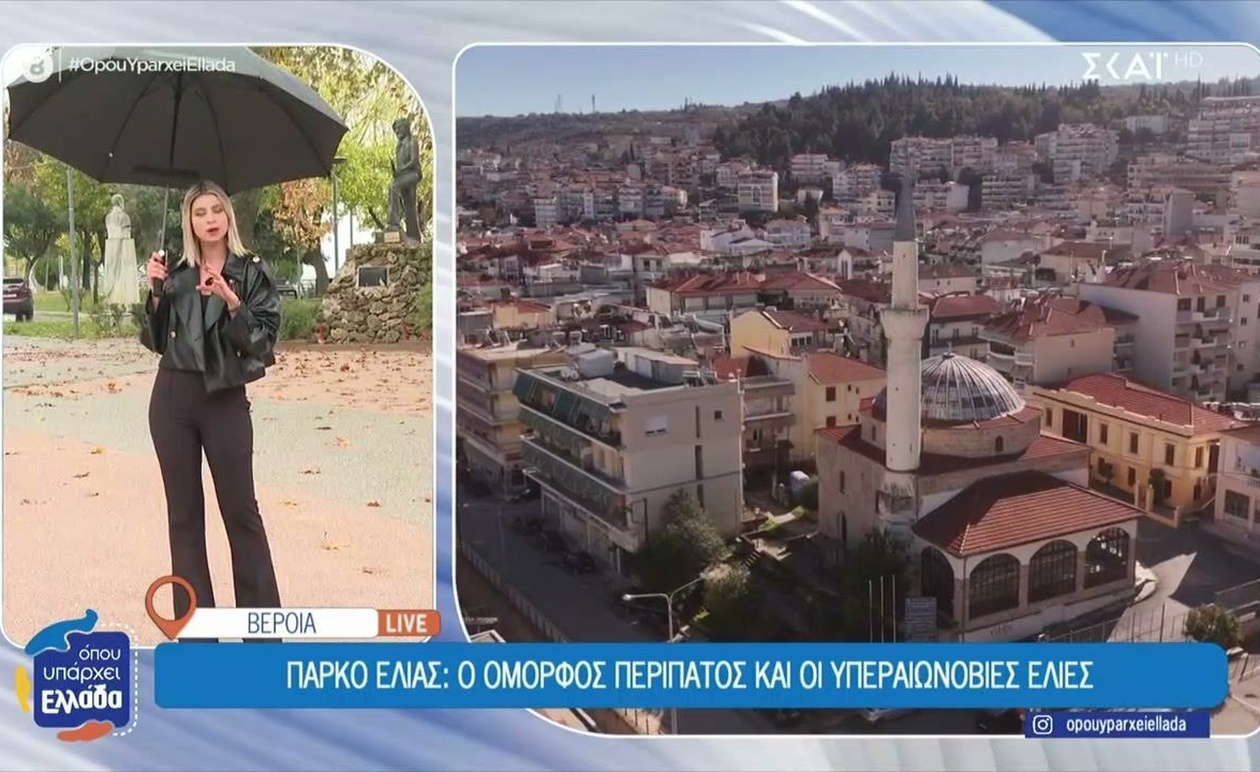 Ρεπορτάζ από τη Βέροια: η υπόθεση Άλκη Καμπανού και η κληρονομιά της καπνοκαλλιέργειας