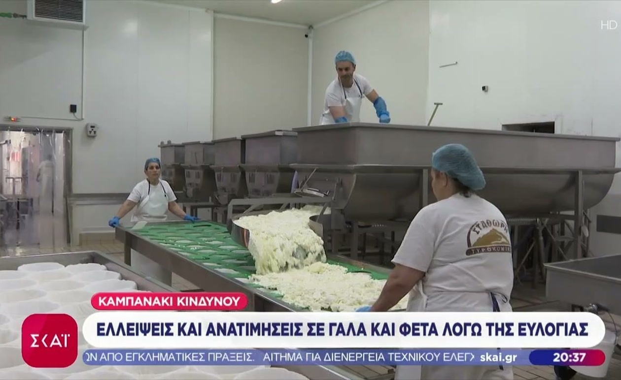 Ευλογιά: Η Απειλή Που Φέρνει Ελλείψεις και Ανατιμήσεις σε Γάλα και Φέτα