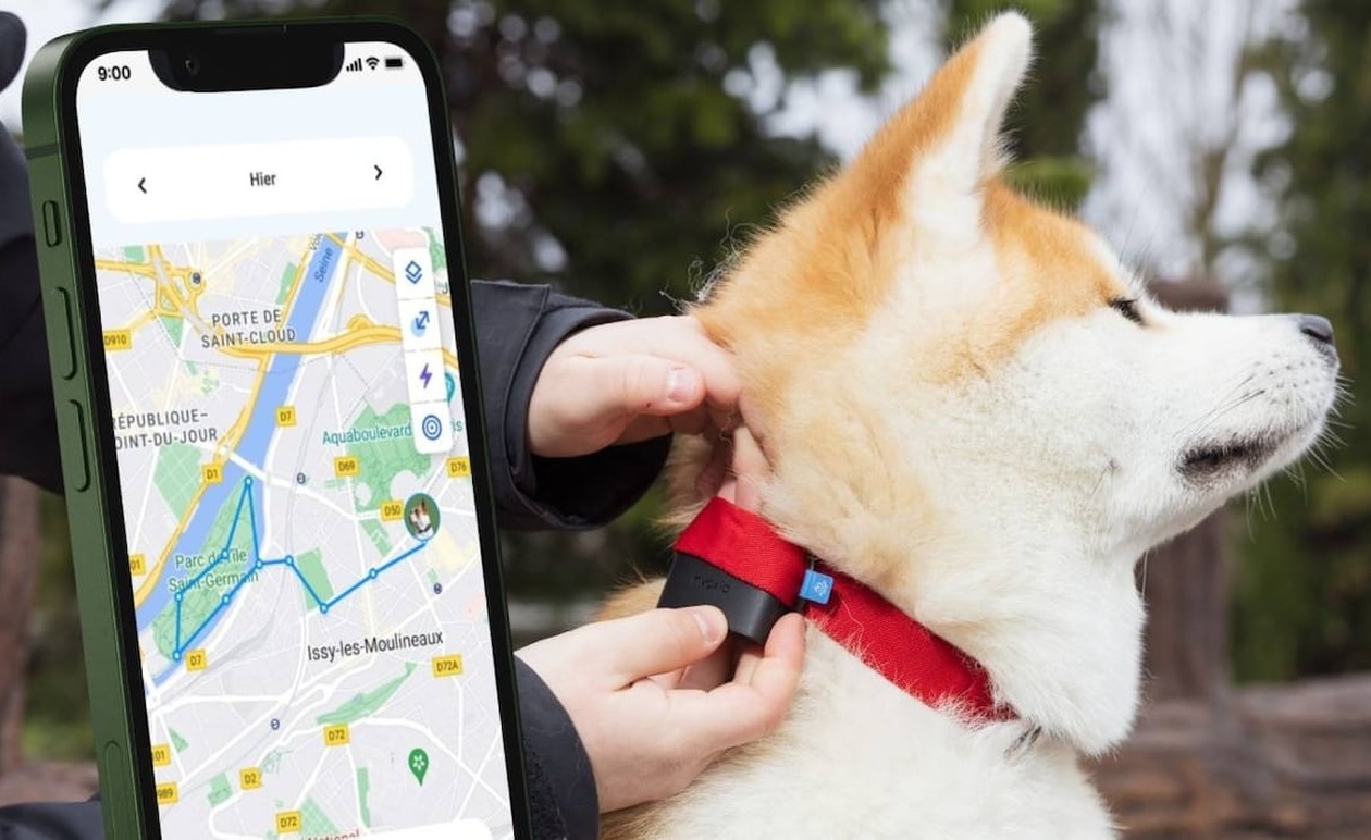 GPS ιχνηλάτες για την παρακολούθηση της υγείας σκύλων και γατών