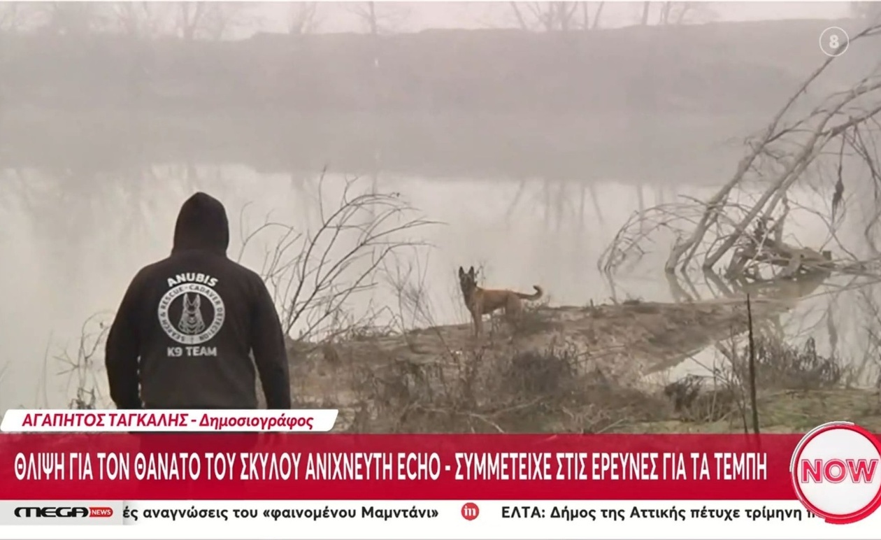 Ο σκύλος ανιχνευτής Echo απεβίωσε στις επιχειρήσεις έρευνας και διάσωσης στα Τέμπη