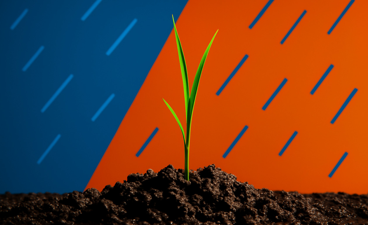 Σρι Λάνκα: Σε απόγνωση οι αγρότες μετά τον κυκλώνα Ditwah και την καταστροφή των καλλιεργειών