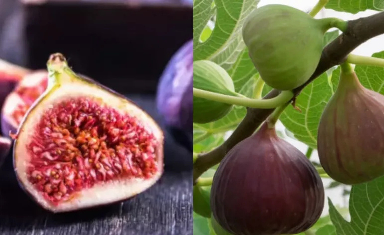 Οφέλη για όλο το σώμα: Το φρούτο που ρίχνει την πίεση, βοηθά την πέψη και θωρακίζει τα οστά