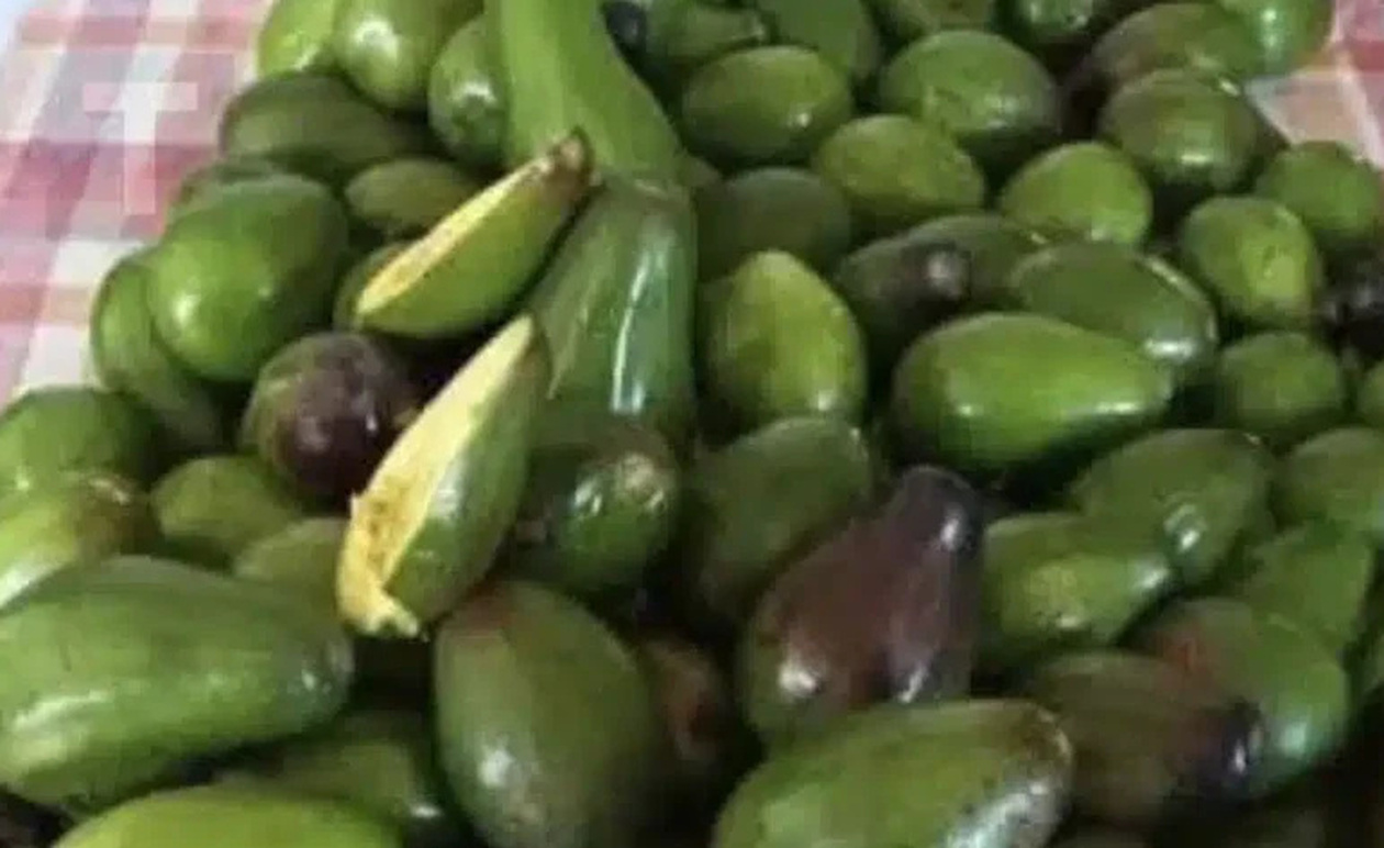 Τι προκαλεί η κατανάλωση αβοκάντο