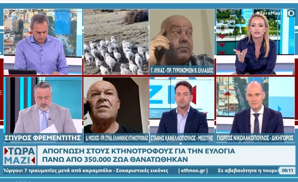 Οι τιμές του τυριού ενδέχεται να αυξηθούν λόγω μείωσης της παραγωγής γάλακτος