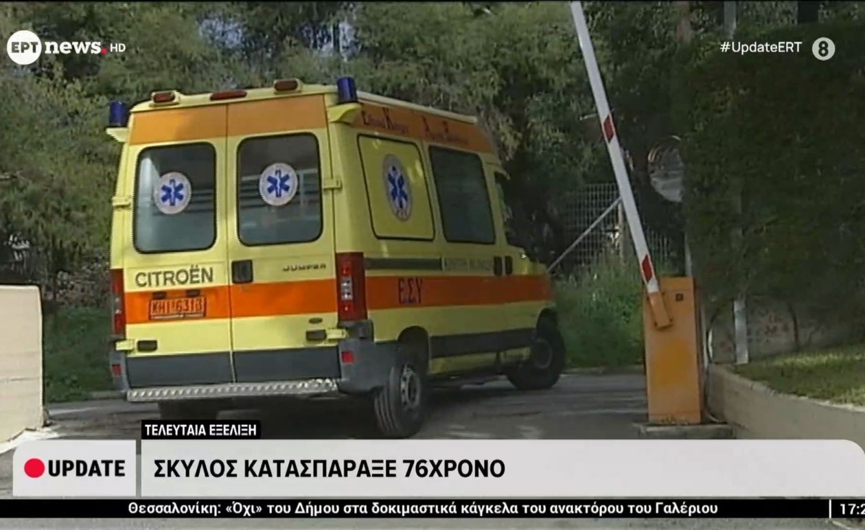 Ένας σκύλος στη Μεσσηνία δάγκωσε μέχρι θανάτου έναν 76χρονο άνδρα