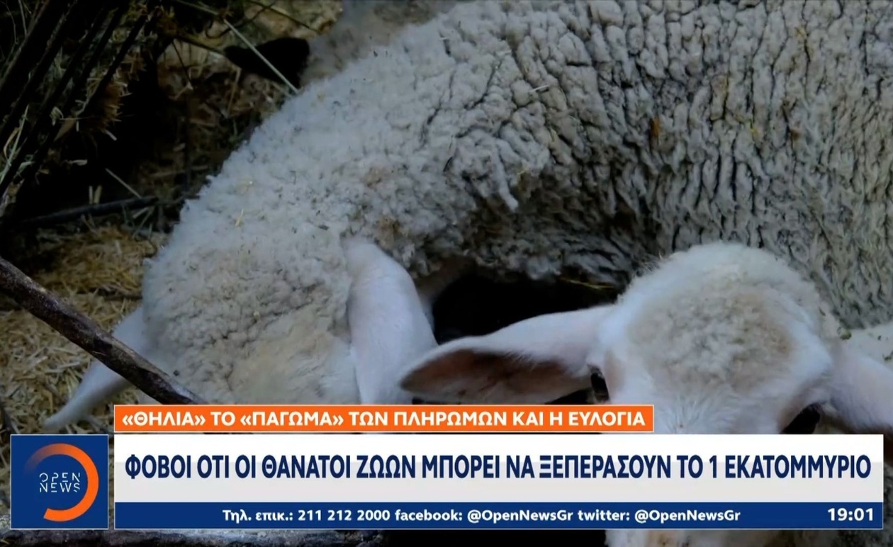 Οι αγρότες και οι κτηνοτρόφοι θα πραγματοποιήσουν συγκέντρωση διαμαρτυρίας στην Αθήνα στις 11 Νοεμβρίου