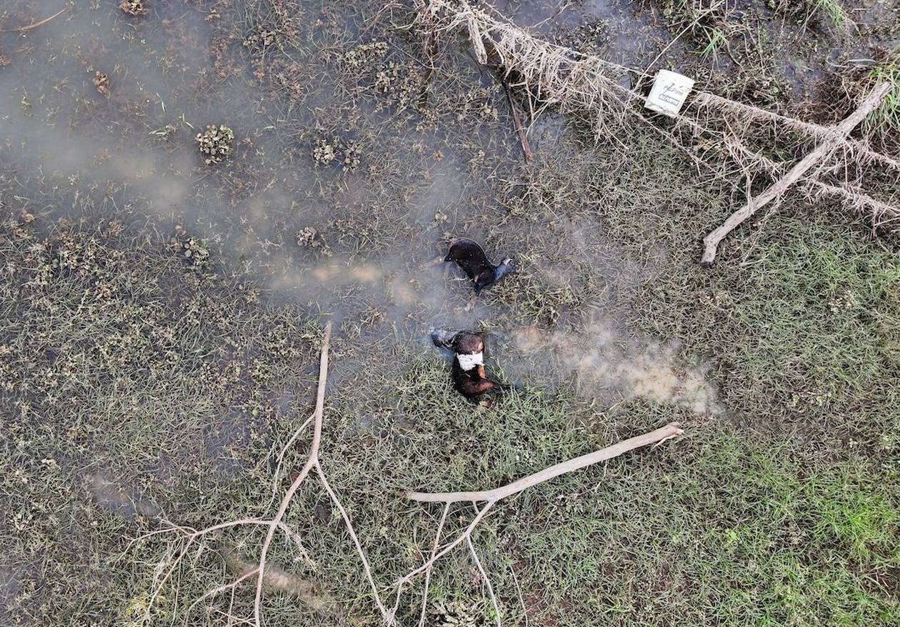 Μετά τον τυφώνα Melissa, οι φάρμες της Τζαμάικα αντιμετωπίζουν ελλείψεις