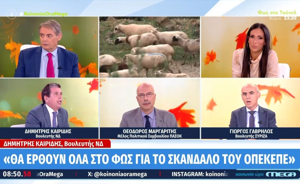 Ο Δημήτρης Καιρίδης κατηγορεί την Κωνσταντοπούλου για προσβολή του κοινοβουλευτισμού