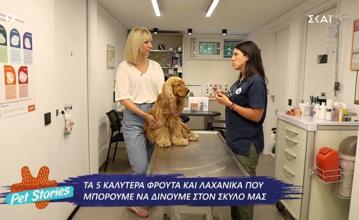 Ένα τηλεοπτικό ταξίδι για τα κατοικίδια