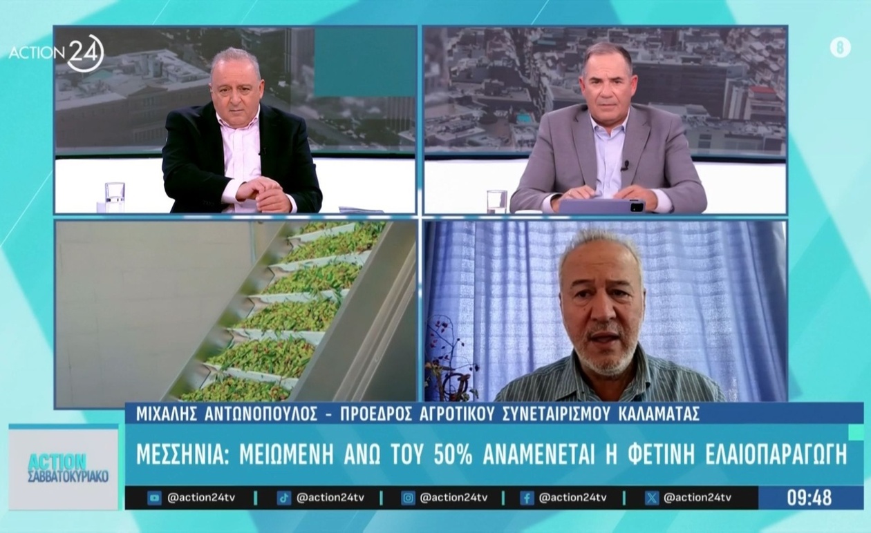 Μεσσηνία: Η παραγωγή ελιάς μειώθηκε πάνω από 50%