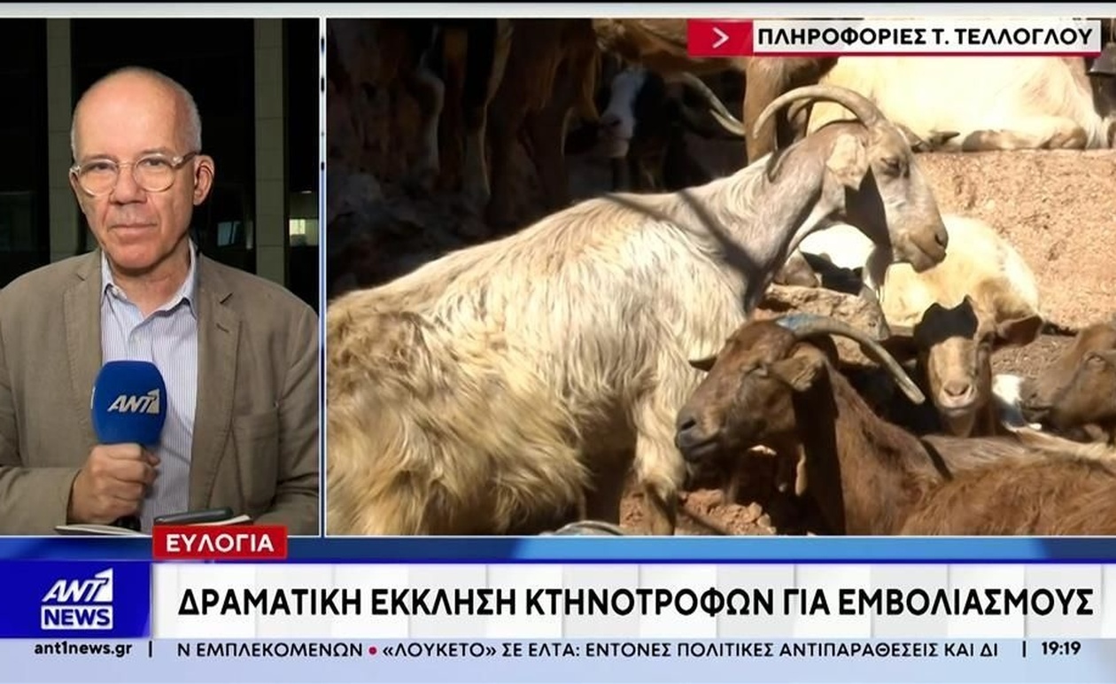 Κτηνοτρόφοι ζητούν εμβολιασμούς λόγω ευλογιάς