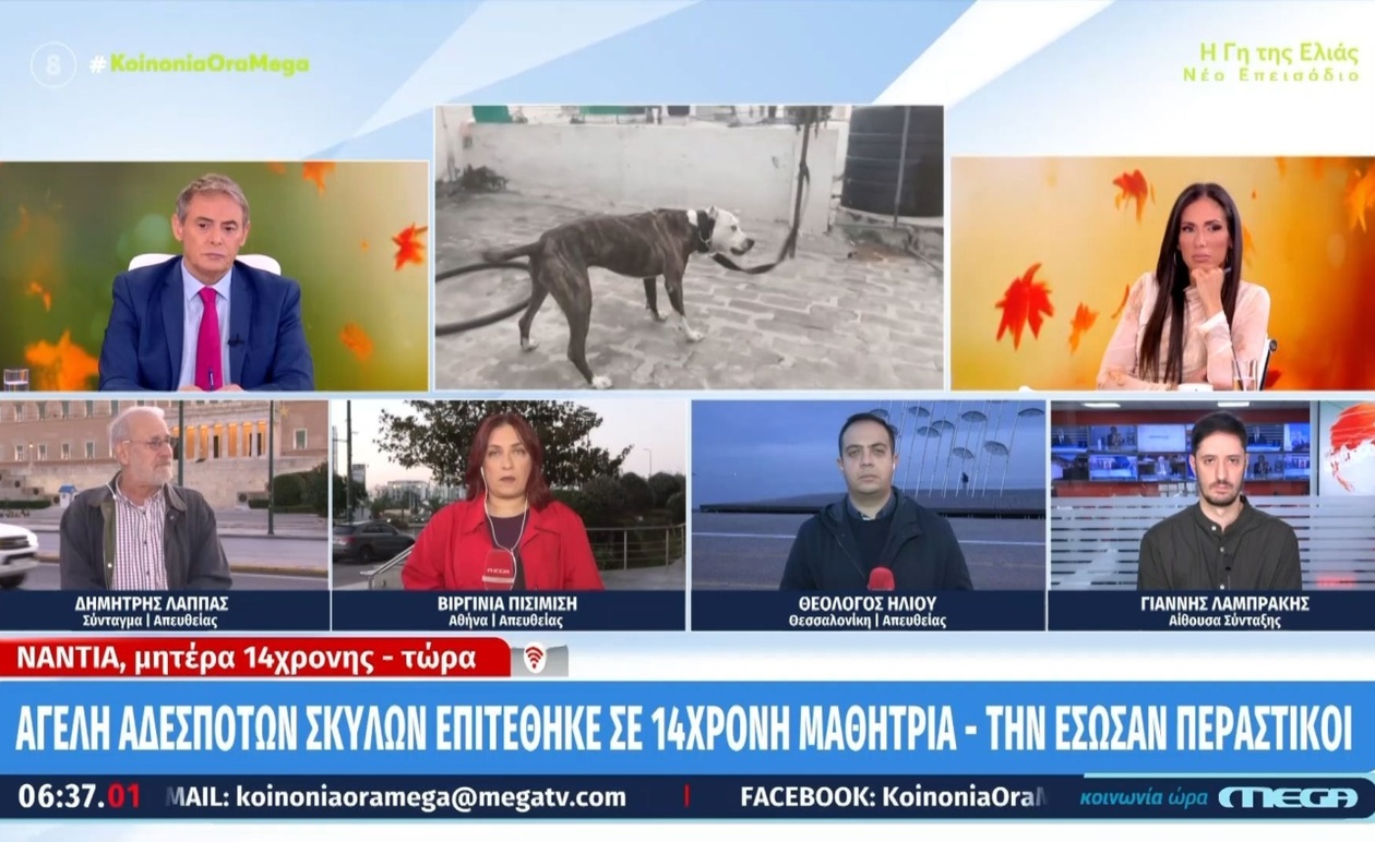 Επίθεση αγέλης σκύλων σε 14χρονη προκάλεσε αναστάτωση στη Θεσσαλονίκη