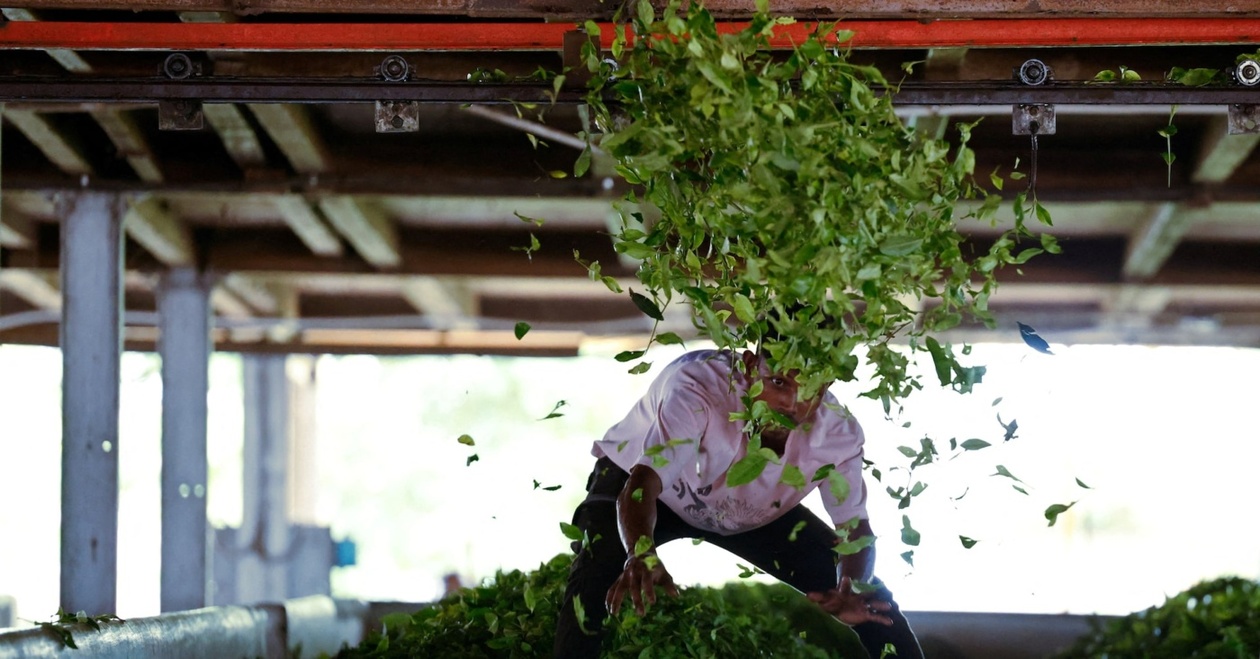 Ανακούφιση για Ινδούς Εξαγωγείς: Ο Τραμπ Καταργεί Δασμούς σε Αγροτικά Προϊόντα