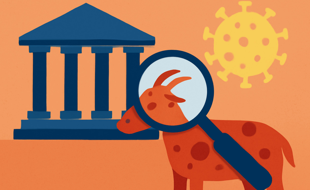 Άρειος Πάγος: Κατεπείγουσα έρευνα για παραβιάσεις μέτρων βιοασφάλειας στην ευλογιά των αιγοπροβάτων