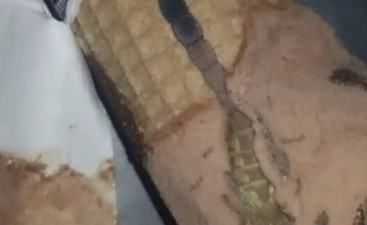 Η κόρη μου άνοιξε ένα παγωτό χωνάκι και βρήκε κάτι παράξενο μέσα, μείναμε άφωνοι όταν συνειδητοποιήσαμε τι ήταν