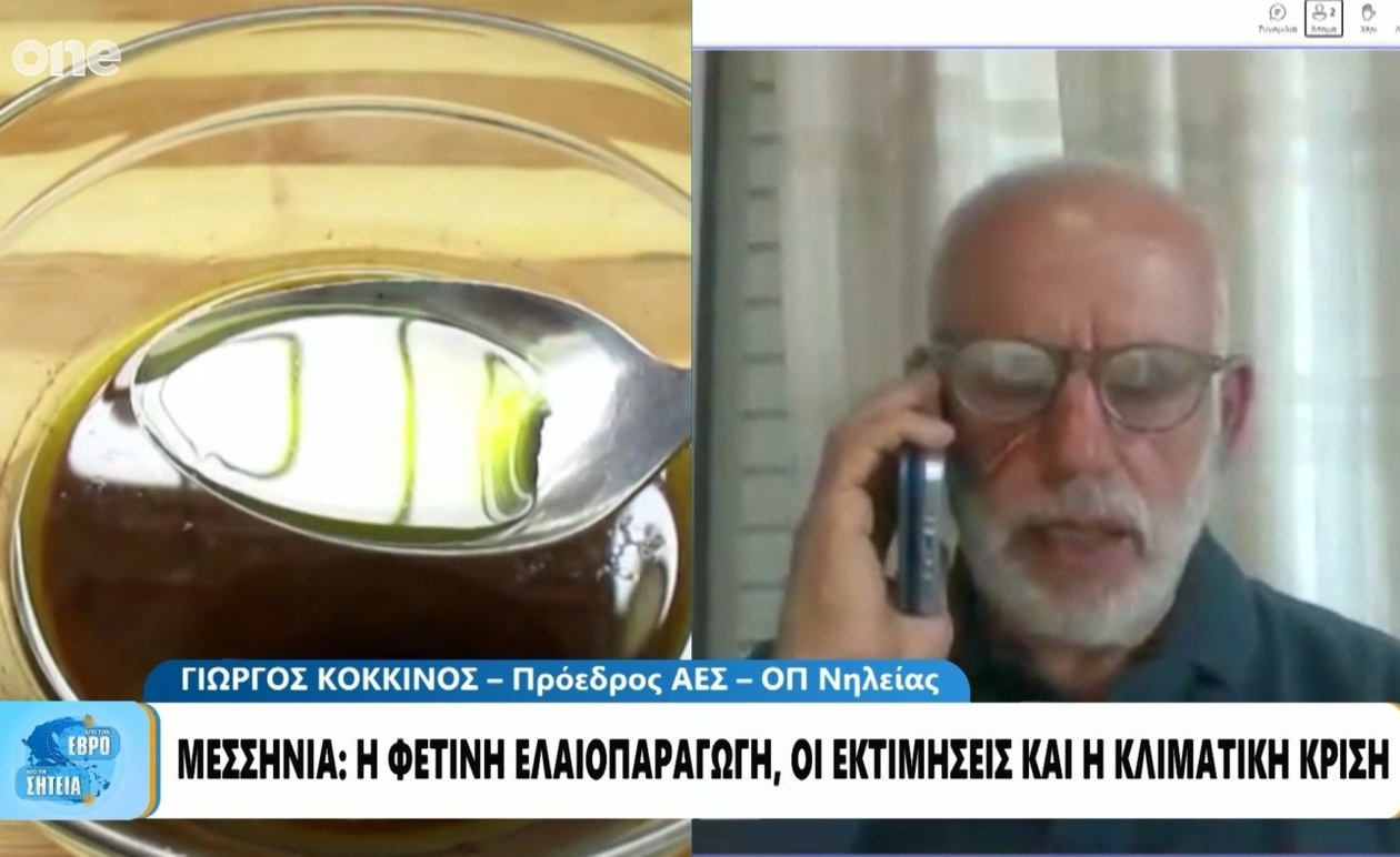 Μείωση της παραγωγής ελαιολάδου στη Μεσσηνία και επιπτώσεις στις τιμές