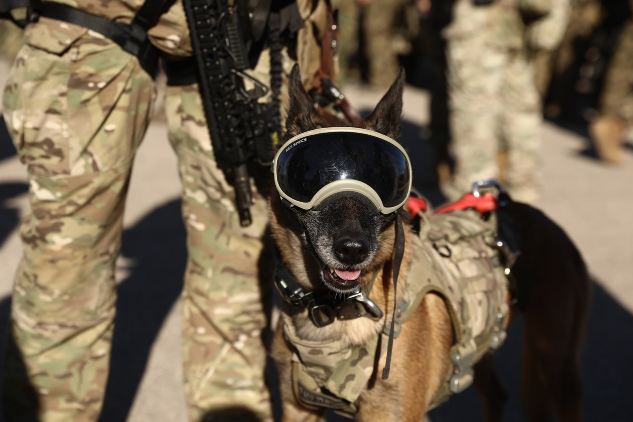 Ωρίων 2025: Εντυπωσιακά πλάνα από την πολυεθνική άσκηση των ειδικών δυνάμεων