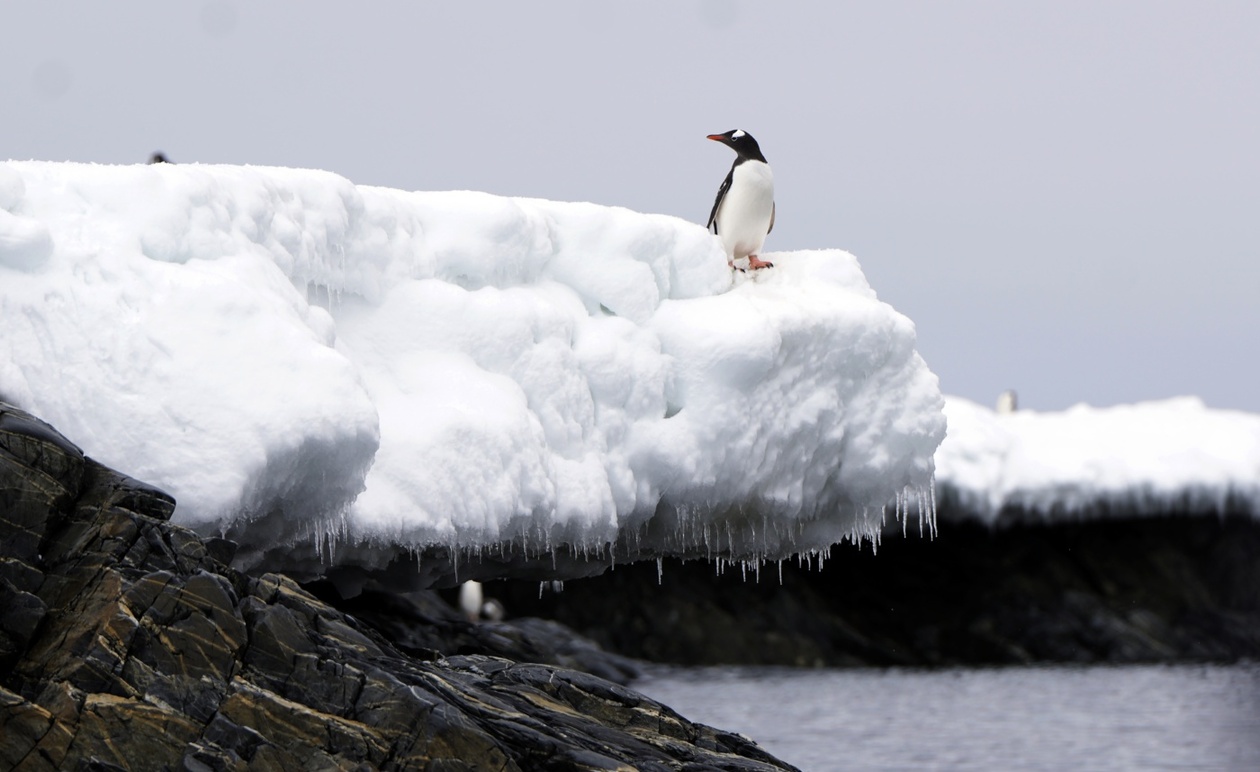 Τα εθνικά σχέδια δεν επαρκούν για την επίτευξη των στόχων της Συμφωνίας του Παρισιού
