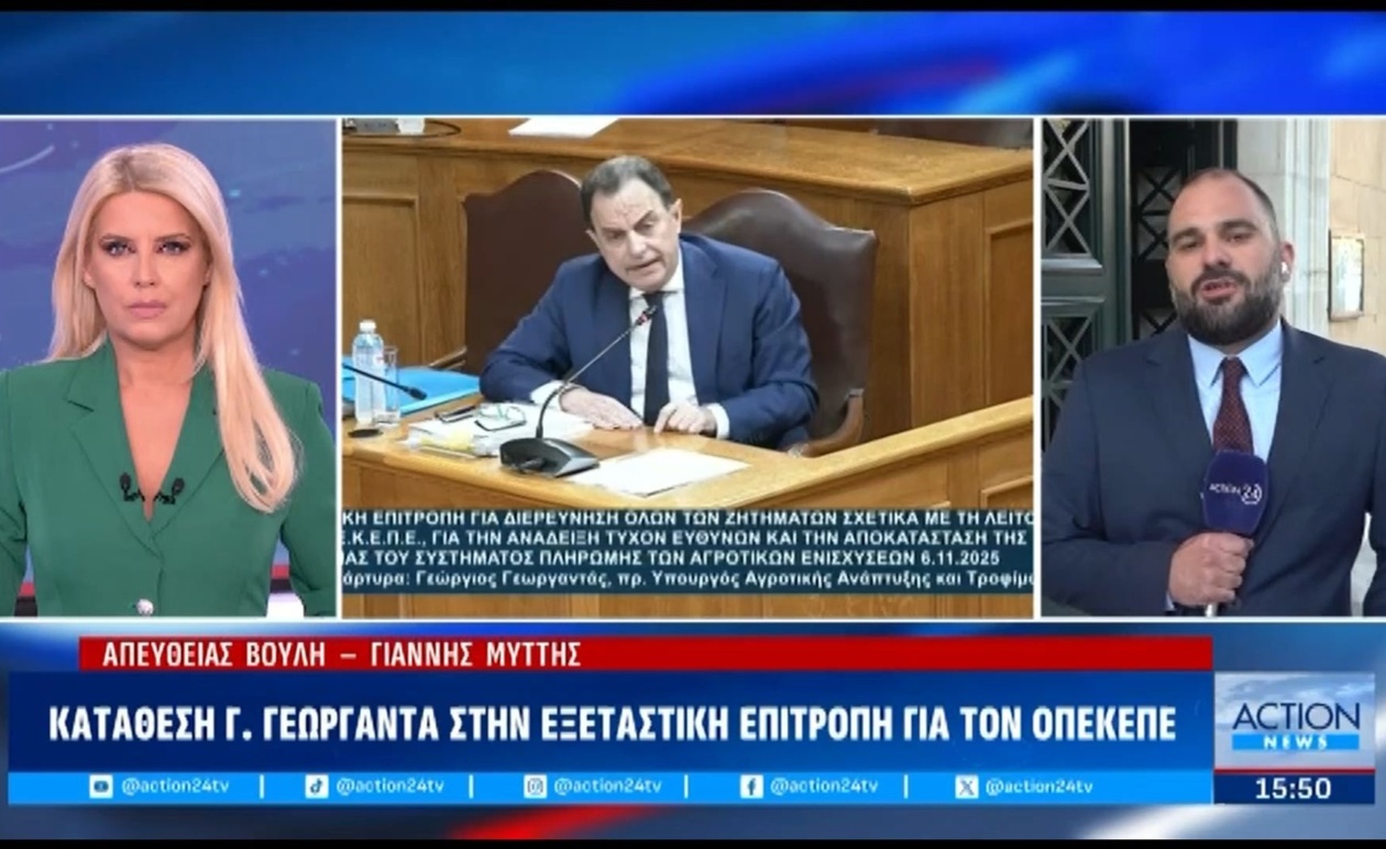 Γ. Γεωργαντάς: Κατάθεση στην εξεταστική επιτροπή του ΟΠΕΚΕΠΕ