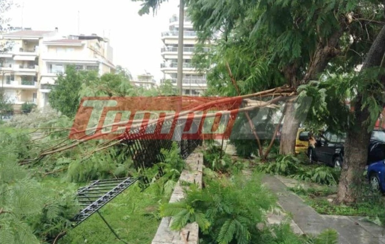 Ισχυροί άνεμοι χτύπησαν την Πάτρα, προκαλώντας πτώσεις μεγάλων δέντρων και ζημιές σε οχήματα