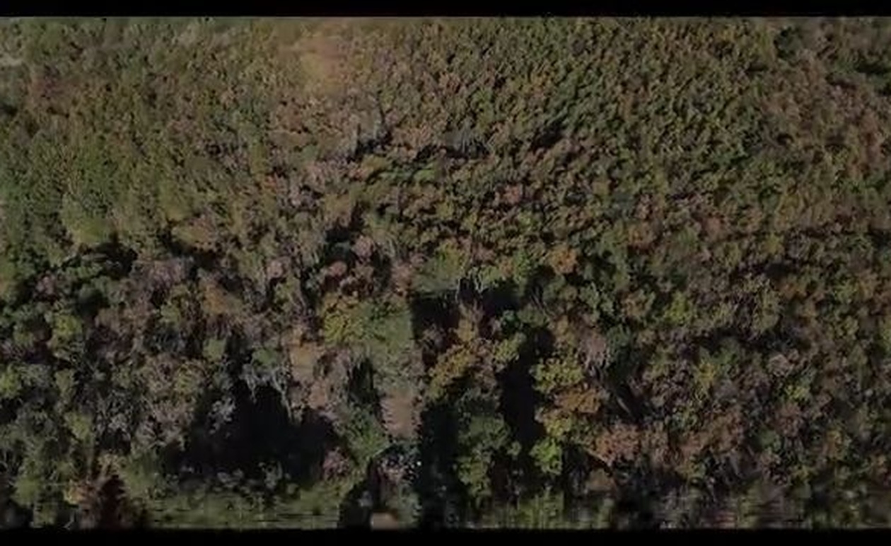 Το έργο των μουλαριών στα ψηλά του Βοΐου