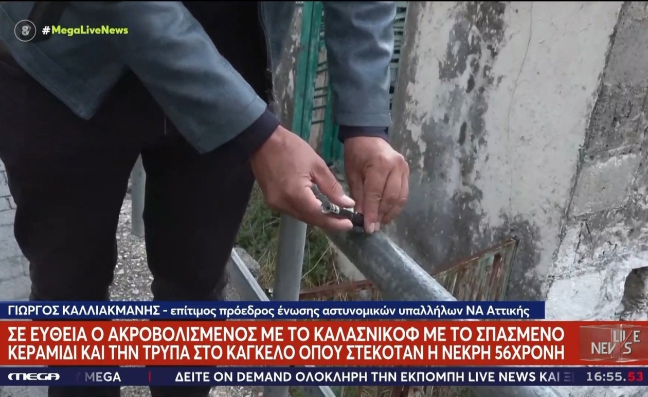 Το βίντεο δείχνει τον δράστη να πλησιάζει το κάγκελο