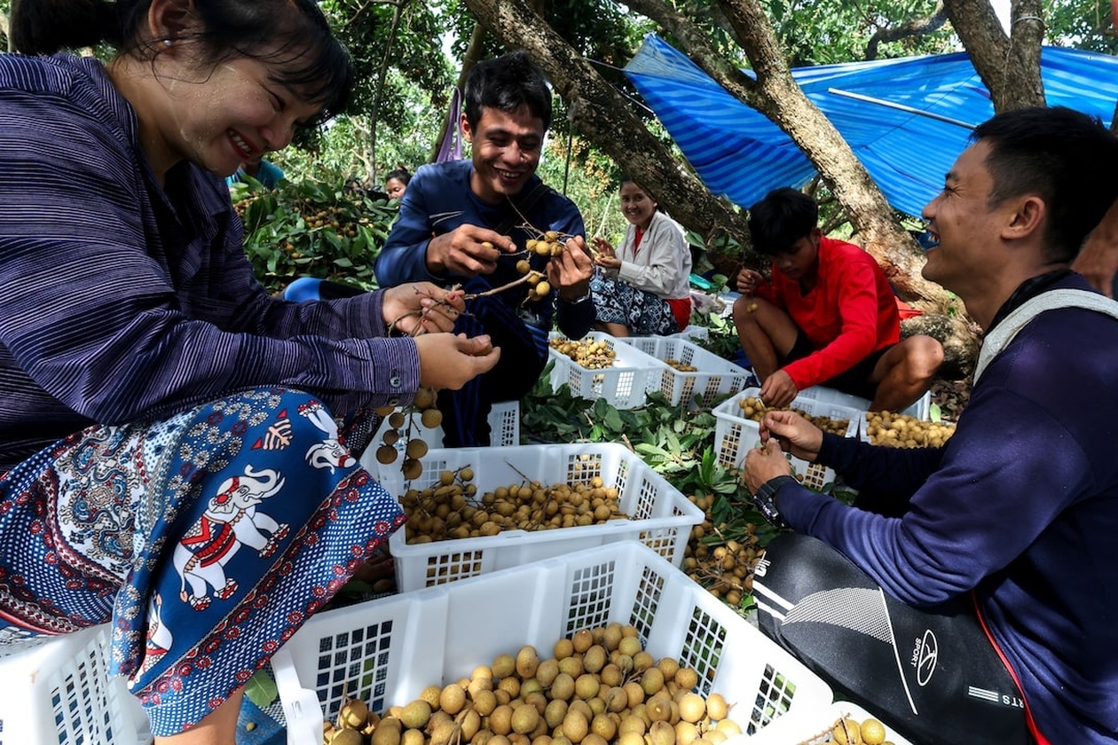 Χιλιάδες πρόσφυγες από τη Μιανμάρ αποκτούν νόμιμα εργασιακά δικαιώματα στην Ταϊλάνδη