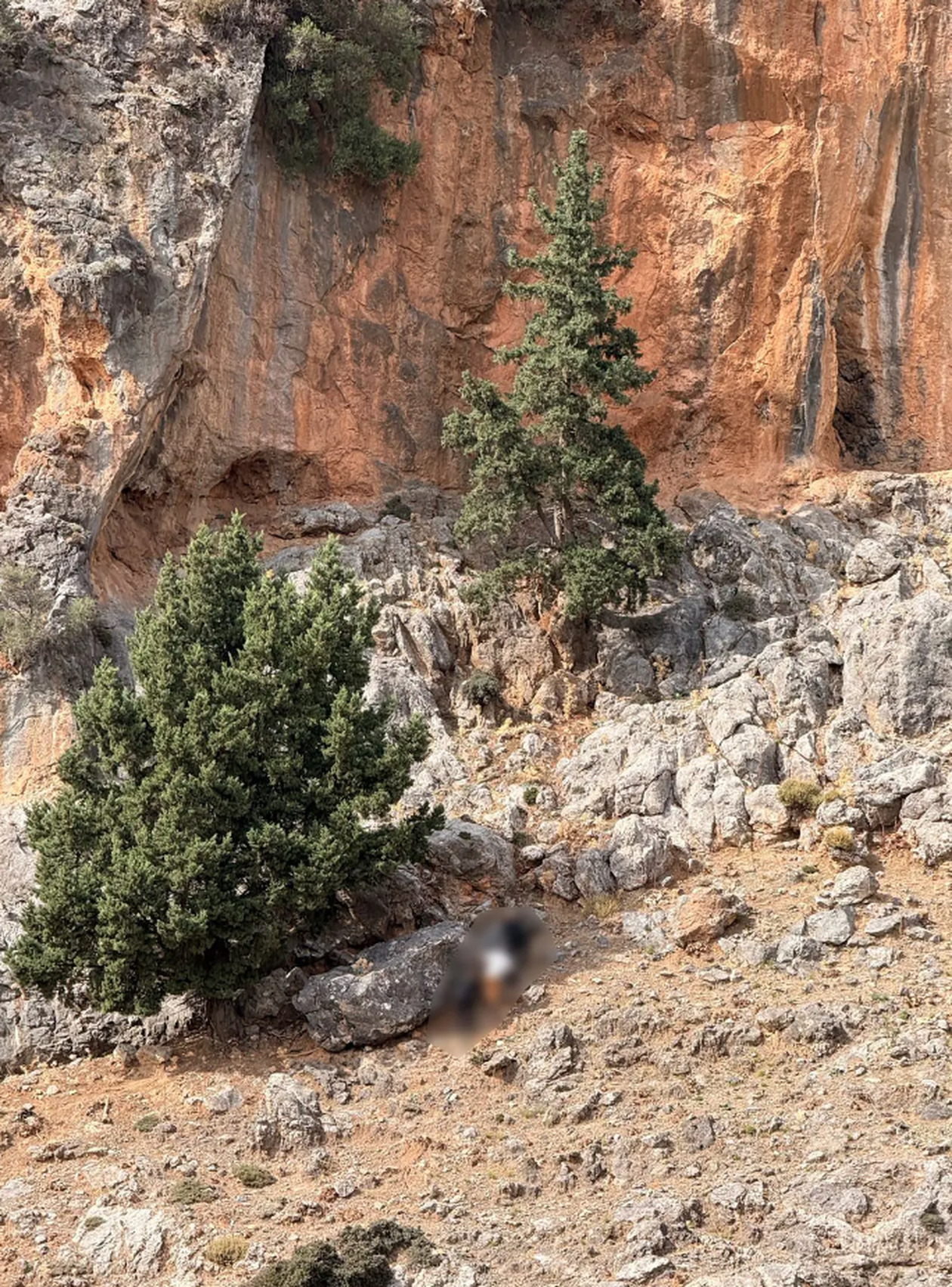 Βρέθηκαν όπλα και φυσίγγια σε σπήλαιο στα Βορίζια