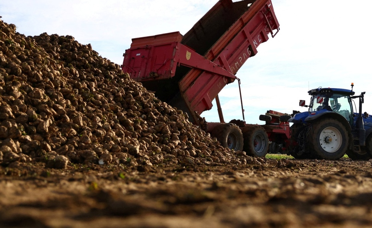 Η ΕΕ χαλαρώνει τους περιβαλλοντικούς κανόνες στη μεταρρύθμιση των επιδοτήσεων