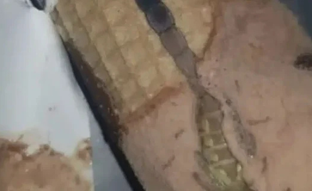 Η κόρη μου άνοιξε ένα παγωτό χωνάκι και βρήκε κάτι παράξενο μέσα, μείναμε άφωνοι όταν συνειδητοποιήσαμε τι ήταν