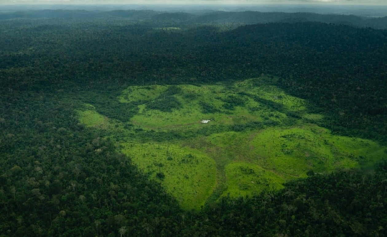 Το Ηνωμένο Βασίλειο δεν θα διαθέσει κρατικά χρήματα για το Ταμείο για τα τροπικά δάση
