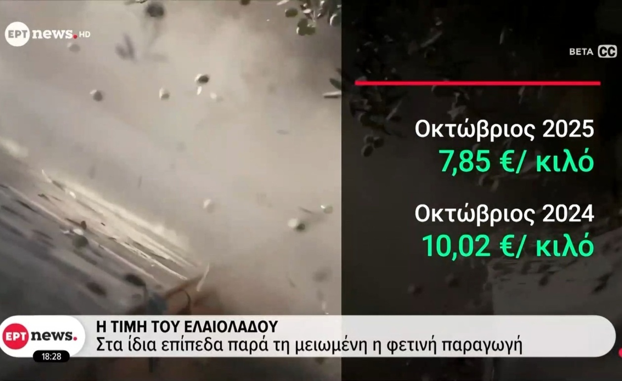 Η τιμή του ελαιολάδου παραμένει σταθερή παρά τη μείωση της παραγωγής