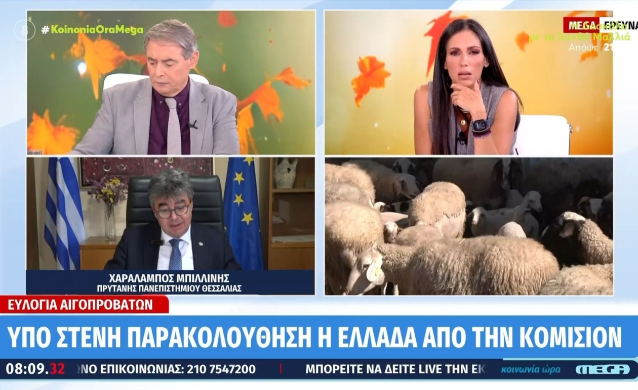 Η ευλογιά αιγοπροβάτων υπό στενή παρακολούθηση της Κομισιόν στην Ελλάδα