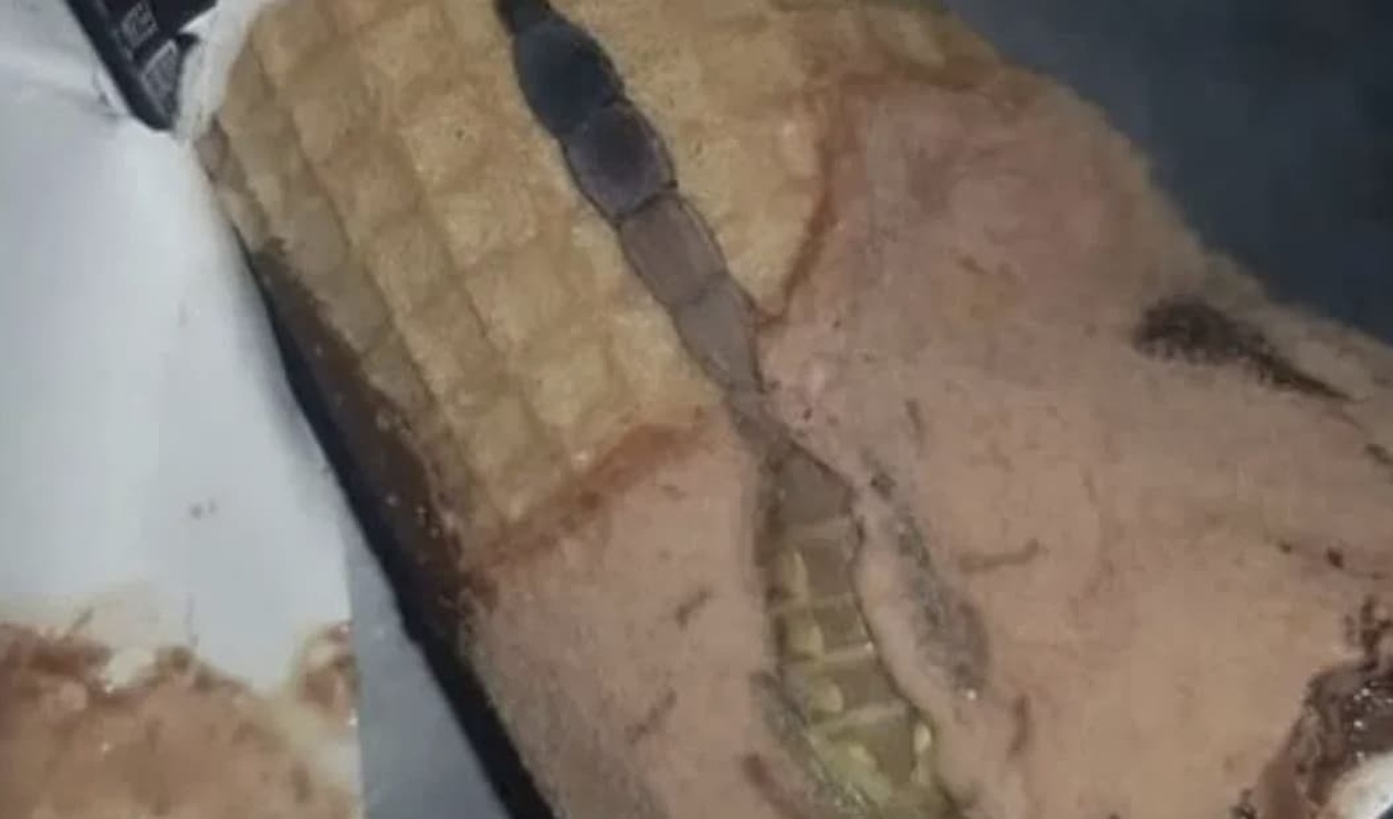 Η κόρη μου άνοιξε ένα παγωτό χωνάκι και βρήκε κάτι παράξενο μέσα, μείναμε άφωνοι όταν συνειδητοποιήσαμε τι ήταν