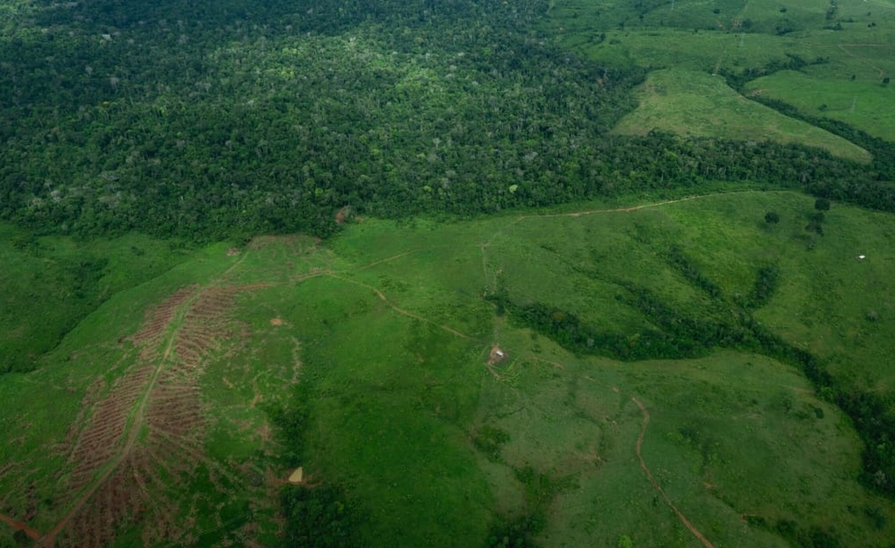 Η βρετανική κυβέρνηση διχάζεται για το ταμείο προστασίας τροπικών δασών