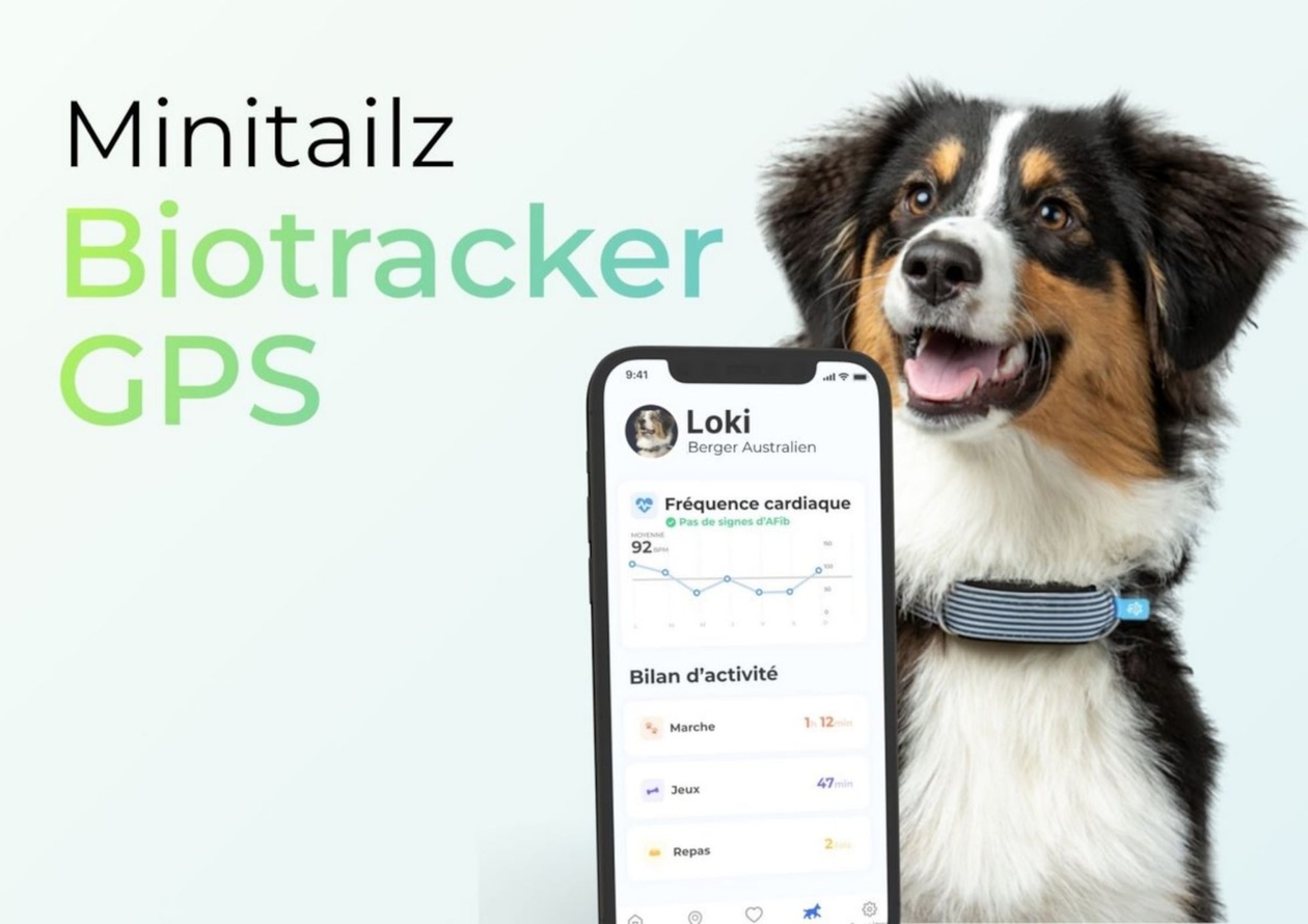 GPS ιχνηλάτες για την παρακολούθηση της υγείας σκύλων και γατών