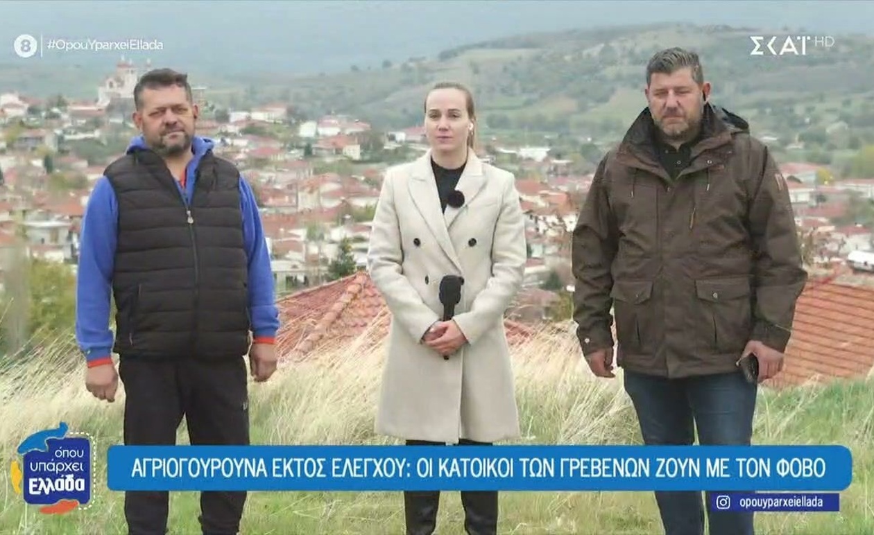 Τα αγριογούρουνα απειλούν την καθημερινότητα των κατοίκων των Γρεβενών