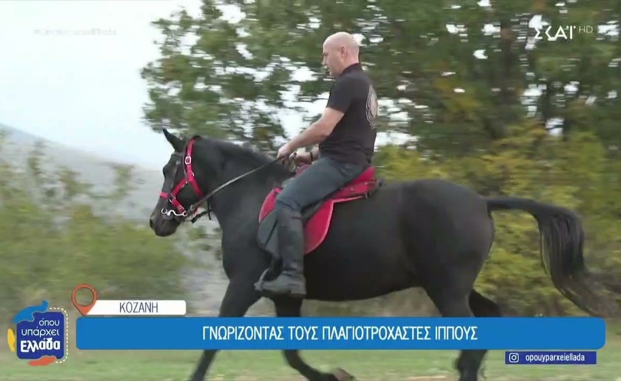 Η αρχαία καταγωγή των πλαγιοτροχαστών ίππων της Κοζάνης