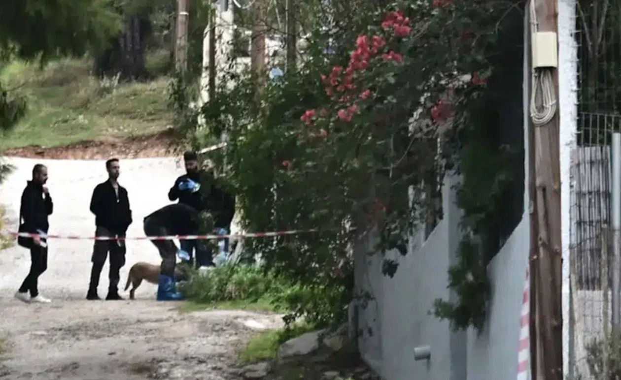 Ανατροπή στο έγκλημα της Σαλαμίνας: Η νύφη της 75χρονης ομολόγησε ότι εκείνη το έκανε