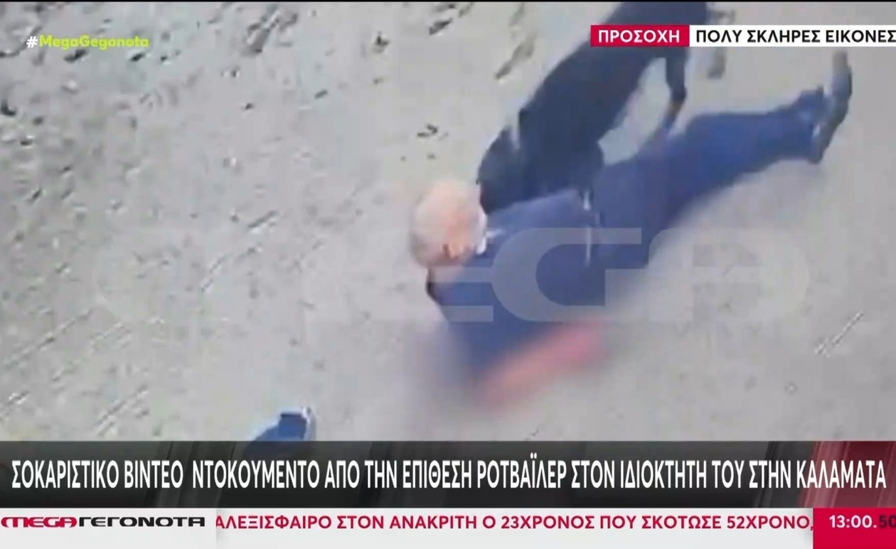 Η αστυνομία άνοιξε πυρ για να σταματήσει ροτβάιλερ που επιτίθονταν στον ιδιοκτήτη του