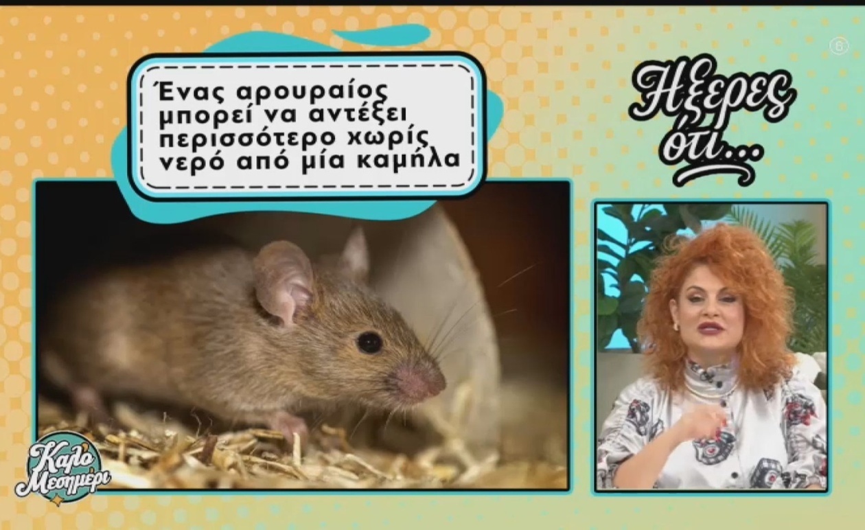 Η εντυπωσιακή προσαρμοστικότητα των ζώων