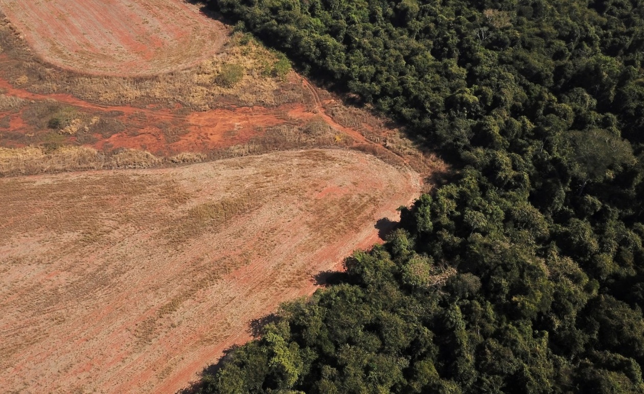 Έρευνα σχετικά με τη χρήση εγχώριας ξυλείας στην παραγωγή αιθανόλης από καλαμπόκι