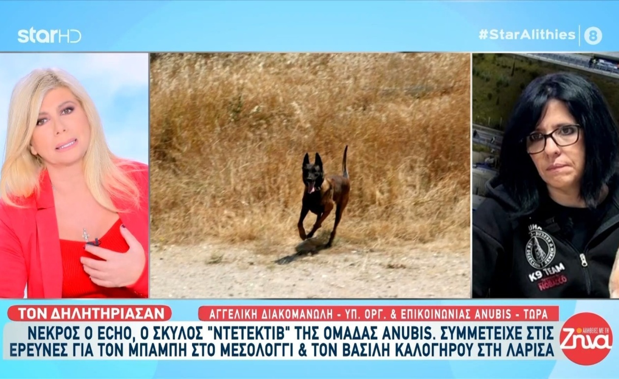Ο θάνατος του σκύλου εντοπισμού της ομάδας Anubis