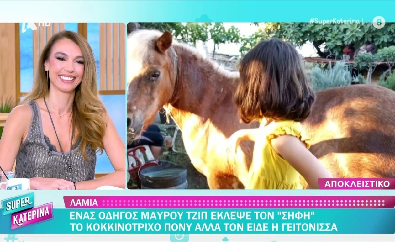 Ο οδηγός μαύρου τζιπ που έκλεψε τον Σήφη