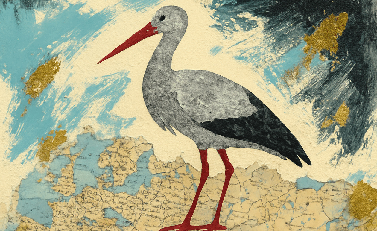 Εκατοντάδες νεκροί πελαργοί κοντά στη Μαδρίτη εν μέσω έξαρσης γρίπης των πτηνών