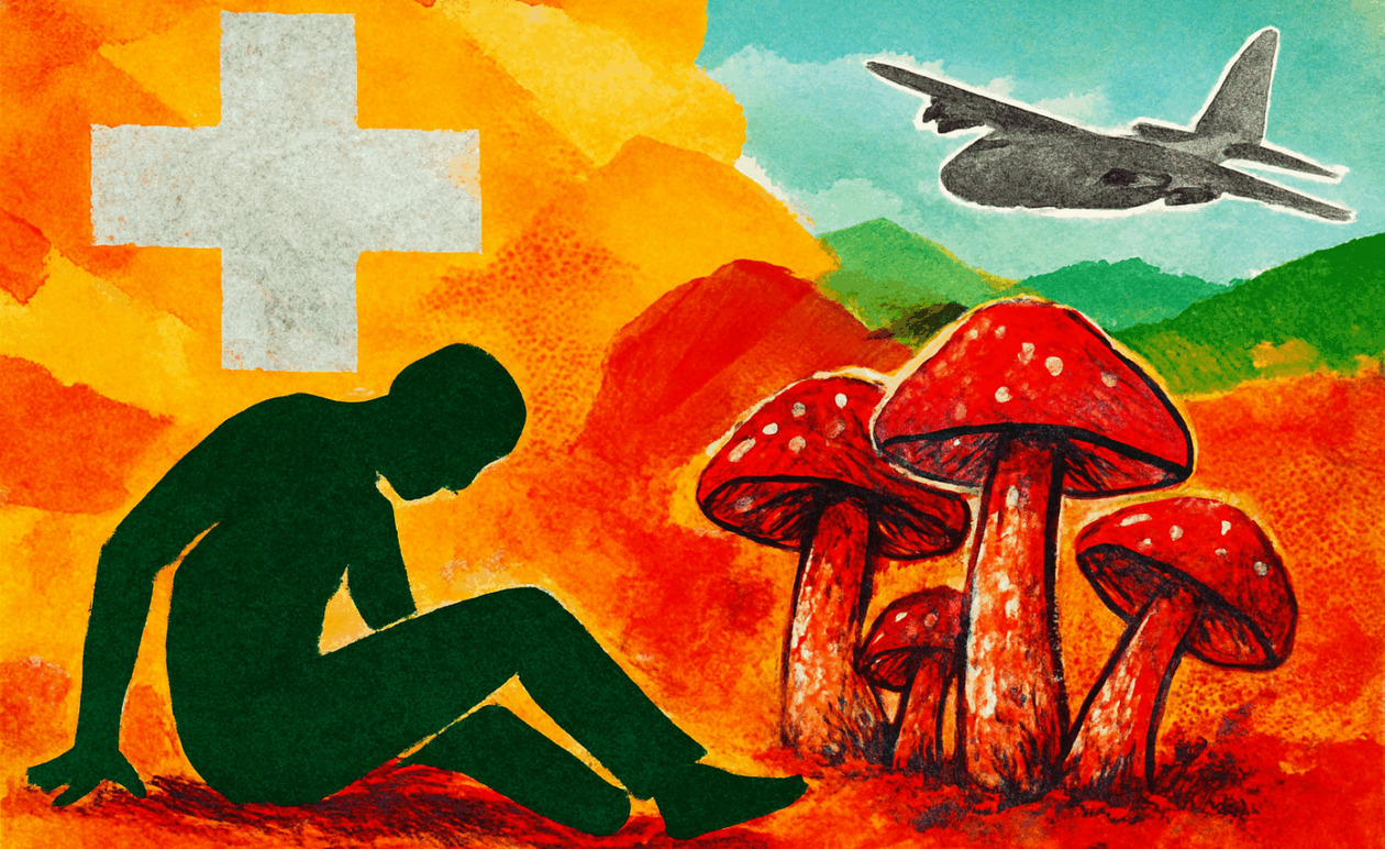 Ζευγάρι Εδεσσας: Κρίσιμη αλλά σταθερή η κατάσταση μετά τη δηλητηρίαση από μανιτάρια στην Ιταλία