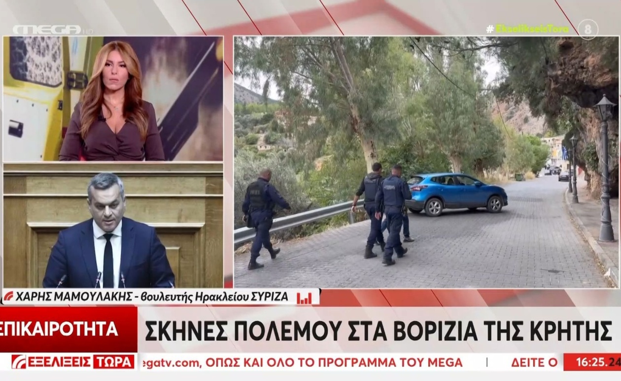 Χάρης Μαμουλάκης προτείνει τον αφοπλισμό του νησιού μετά το μακελειό στα Βορίζια