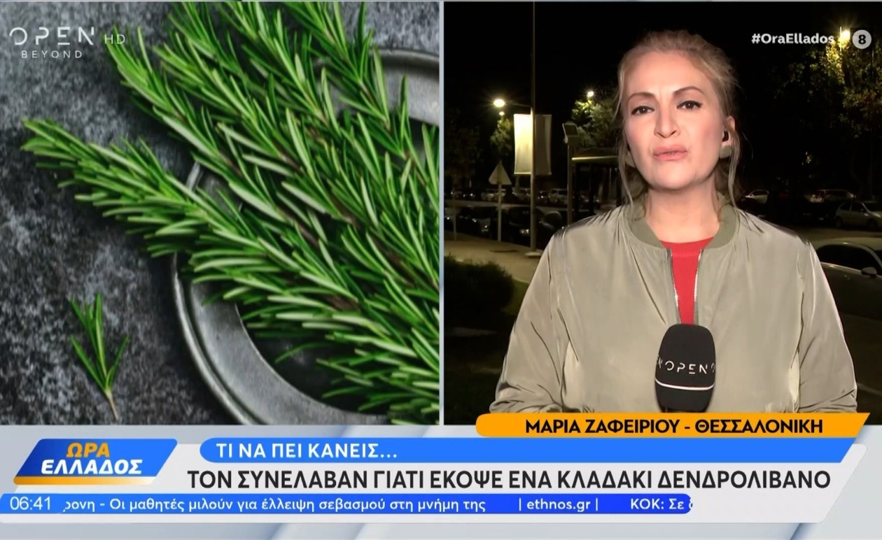 Σύλληψη συνταξιούχου για ένα κλαράκι δεντρολίβανο στη Θεσσαλονίκη