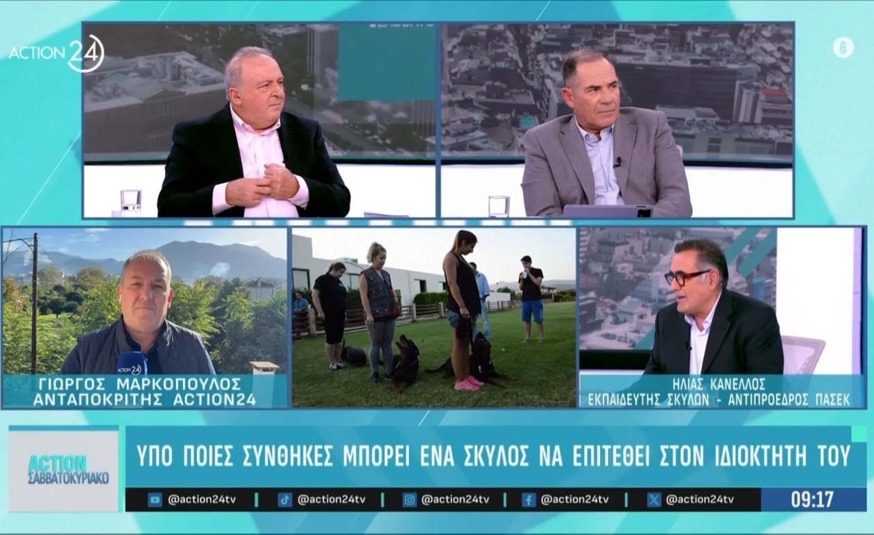 Η επίσκεψη του Μητσοτάκη στην Ιερά Μονή Σινά και οι επιπτώσεις της για την Ελλάδα