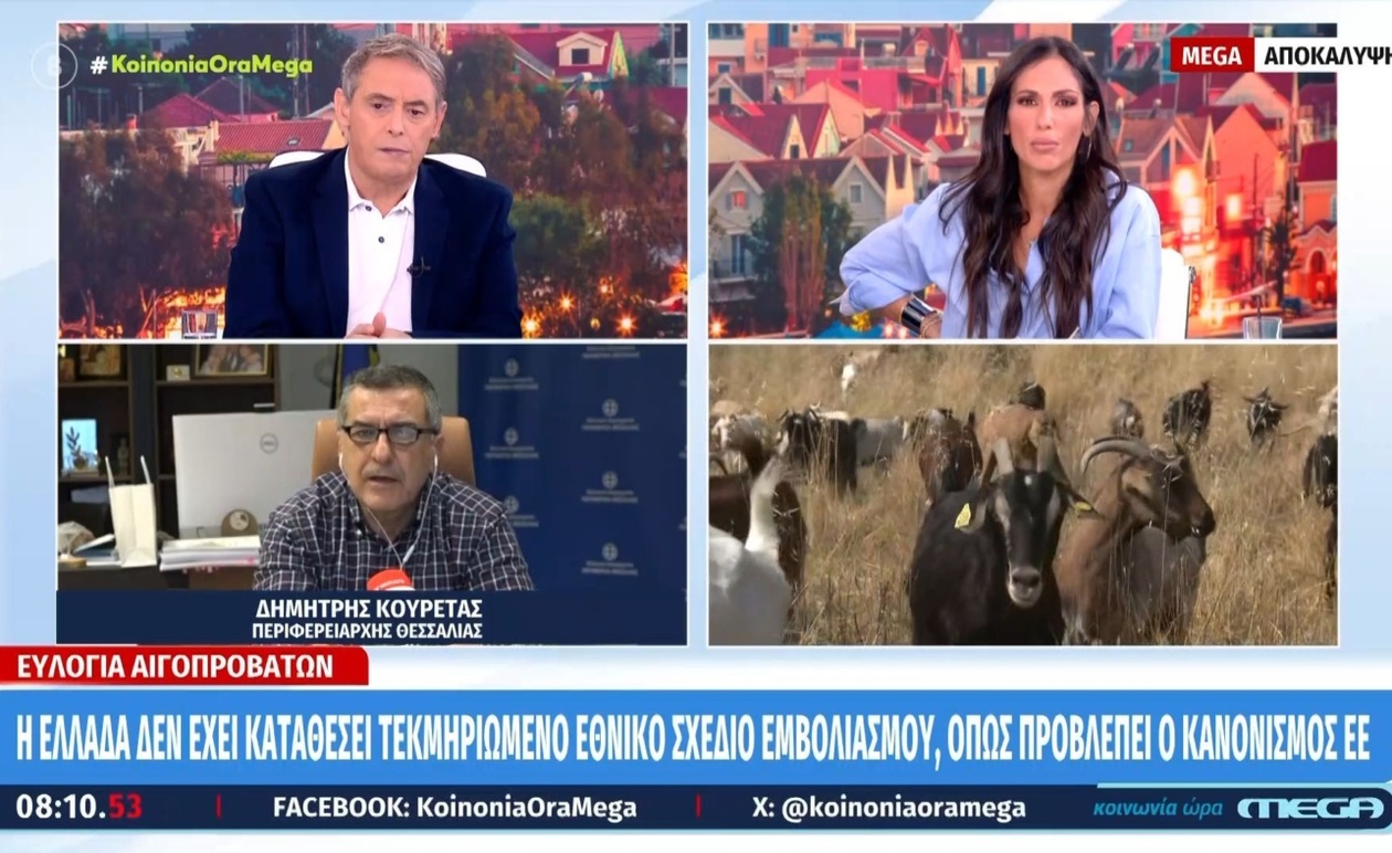 Καίριες δηλώσεις Κουρέτα για τα εμβόλια ευλογιάς αιγοπροβάτων στην Θεσσαλία